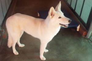 Picture of Freya