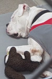Picture of Gavin