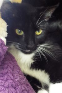 Kiki