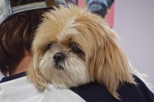 Picture of Lucy