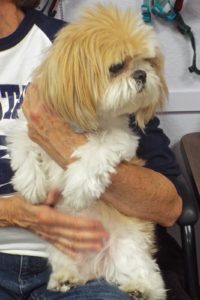 Picture of Lucy