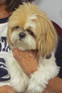 Picture of Lucy