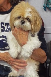 Picture of Lucy