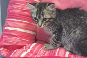 Picture of Marti