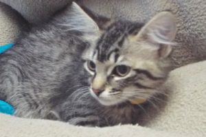 Picture of Marti