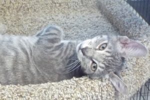 Picture of Maxie
