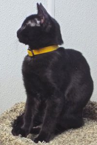 Picture of Oikos