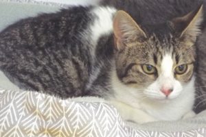 Picture of Libby