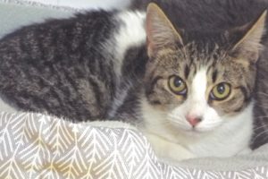 Picture of Libby