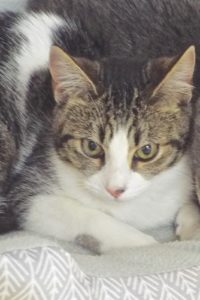 Picture of Libby