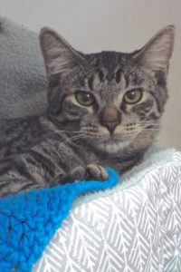Picture of Mia