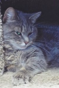 Picture of Mimi