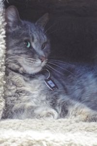 Picture of Mimi