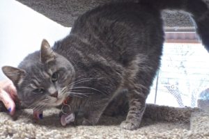 Picture of Mimi