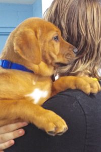 Picture of Roo