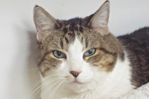 Picture of Sammy