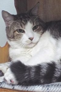 Picture of Sammy
