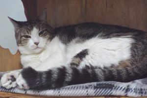 Picture of Sammy