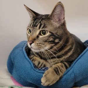 Picture of Sir Winston