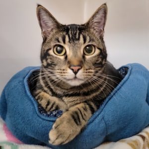 Picture of Sir Winston