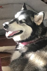 Picture of Tahoe