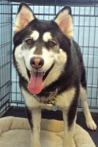 Picture of Tally