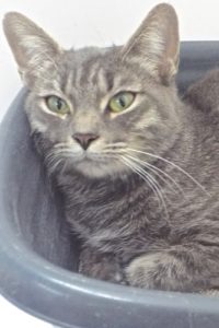 Picture of Tina