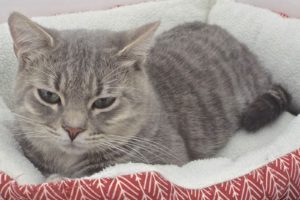 Picture of Tony