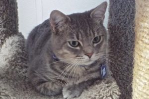 Picture of Tony