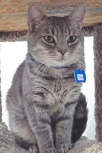 Picture of Tony