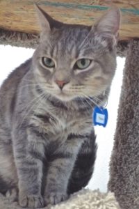 Picture of Tony