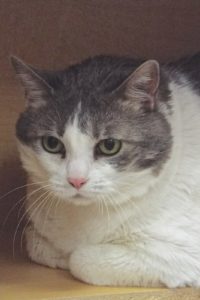Picture of Abby