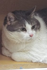Picture of Abby