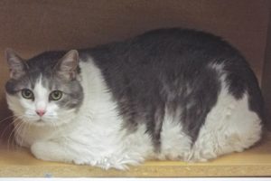 Picture of Abby