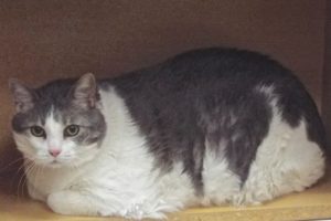 Picture of Abby