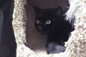 Picture of Boo Boo