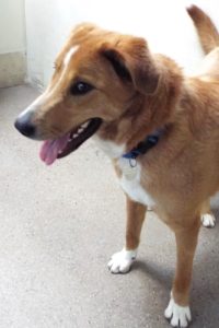 Picture of Bruno