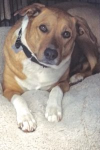 Picture of Larry