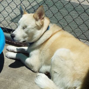 Picture of Lila