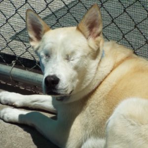 Picture of Lila