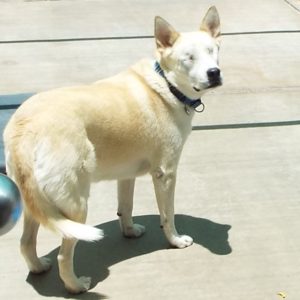 Picture of Lila