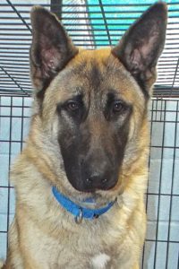 Picture of Major