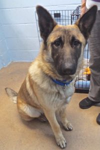 Picture of Major