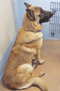 Picture of Major