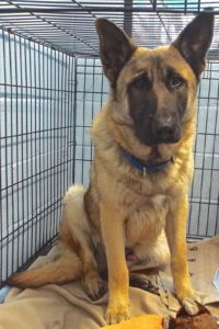 Picture of Major