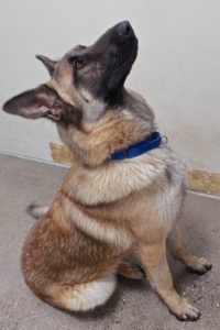 Picture of Major