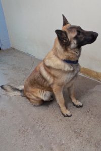 Picture of Major