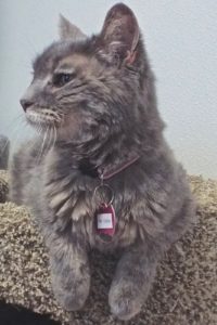 Picture of Ms Gabby (R.B.)