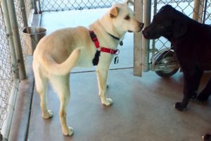 Picture of Polar