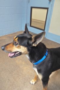 Picture of Radar